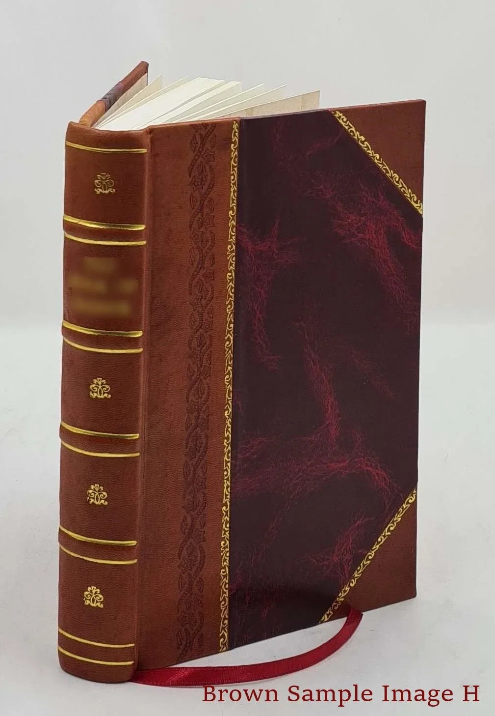 Die Suggestion und ihre Heilwirkung / von . Bernheim ; autorisirte deutsche Ausg. von Sigm. Freud. v.2. Volume v.2 1889 [Leather Bound]