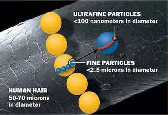 Purolator  Air Filter (2-Pack), 16x25x3 - Replacement for  Air Bear Cub