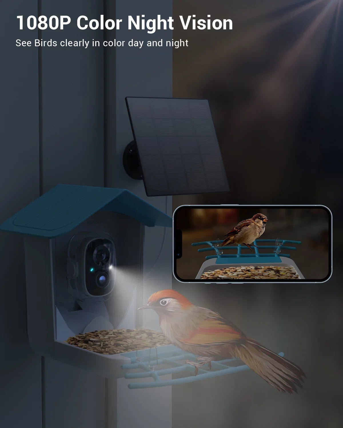 Smart Bird Feeder with Camera, Bird Feeder House with 1080P Battery Security Camera Solar Powered Auto Capture Bird Videos Wireless Outdoor
