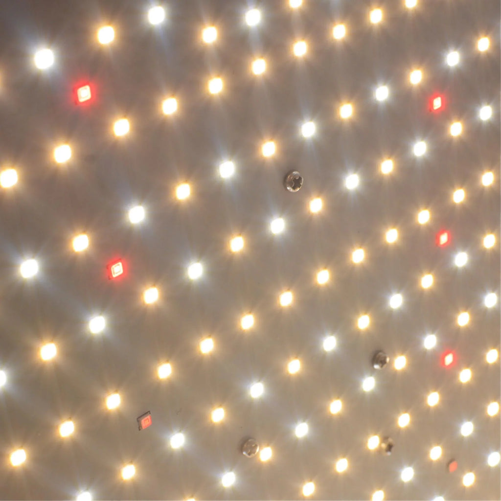 Maximize Hydroponic Plant Growth with Our 2000W Dimmable Grow Lamp - Full Spectrum, Waterproof, and Long-Life Design for Optimal Efficiency