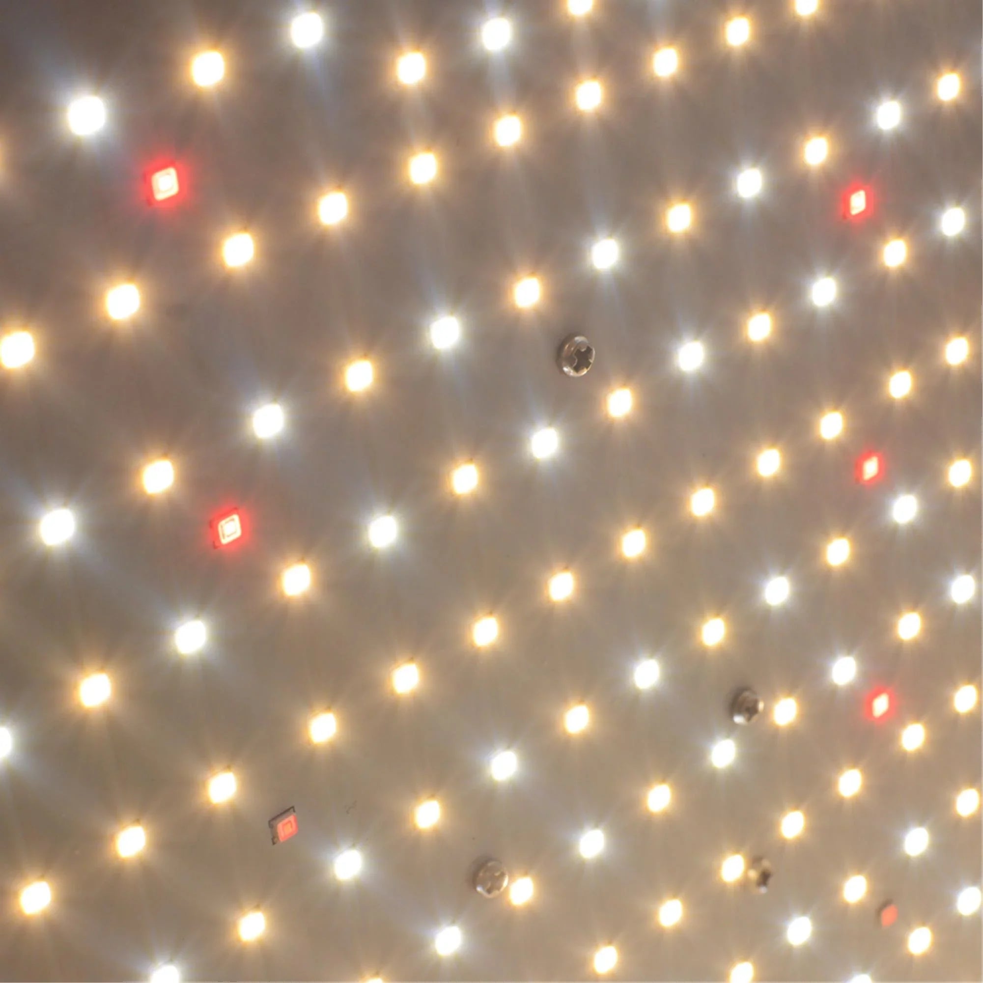 Maximize Hydroponic Plant Growth with Our 2000W Dimmable Grow Lamp - Full Spectrum, Waterproof, and Long-Life Design for Optimal Efficiency