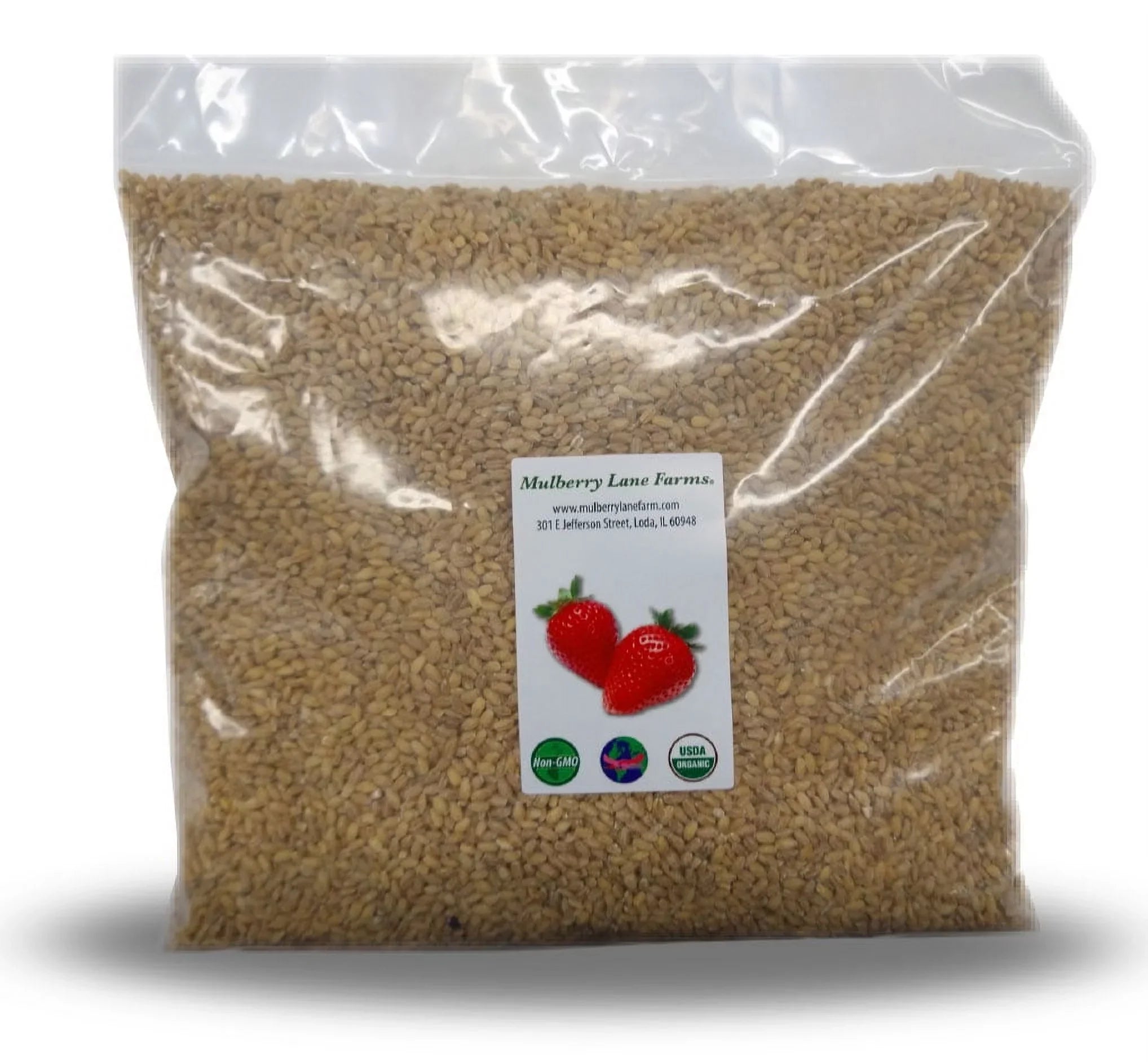 Hulled Barley 10 lbs (ten pounds) 100%  Certified Organic