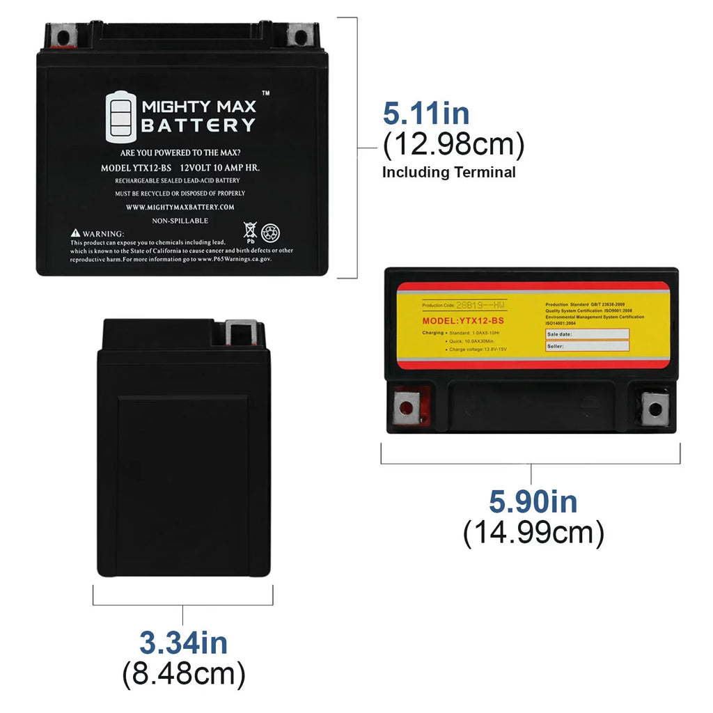 '- 12V 10Ah Replacement Battery for Protek -