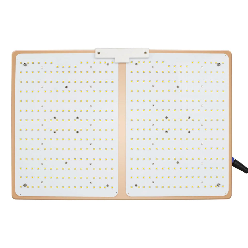 Maximize Hydroponic Plant Growth with Our 2000W Dimmable Grow Lamp - Full Spectrum, Waterproof, and Long-Life Design for Optimal Efficiency