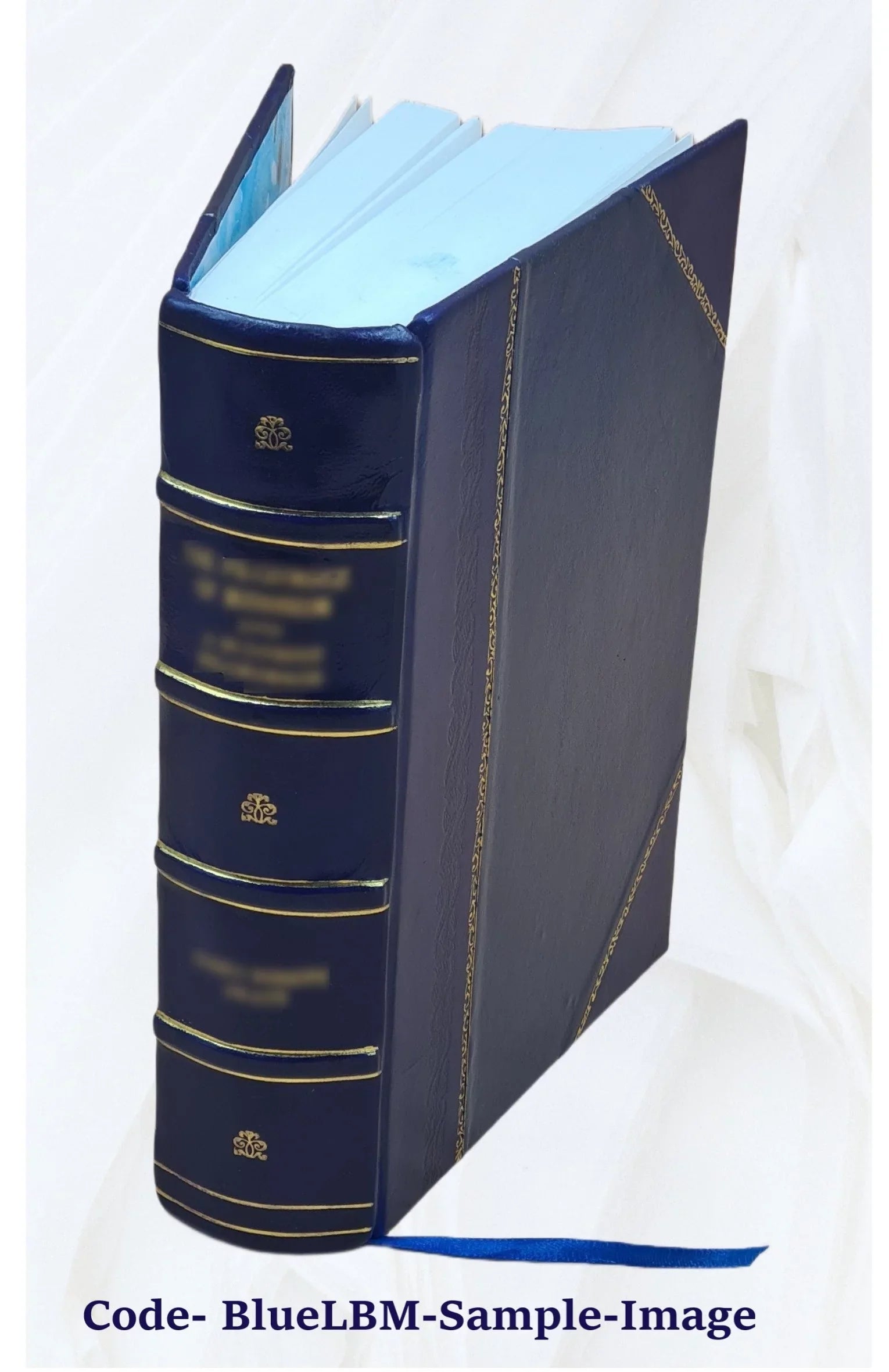 On the interpretation of statutes / by the late Sir Peter Benson Maxwell 1920 [Leather Bound]