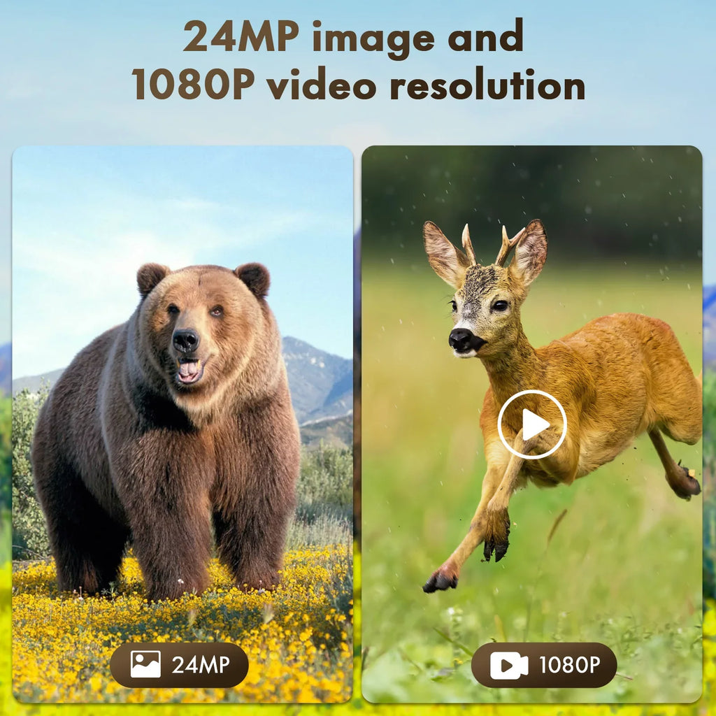 Solar Trail Camera 24MP 1080P 2500mAh Built-in Lithium Battery Rechargeable Game Camera with Night Vision Waterproof  0.1s Trigger Speed 120°Wide Angle 2.0"  Hunting Cam with  Card