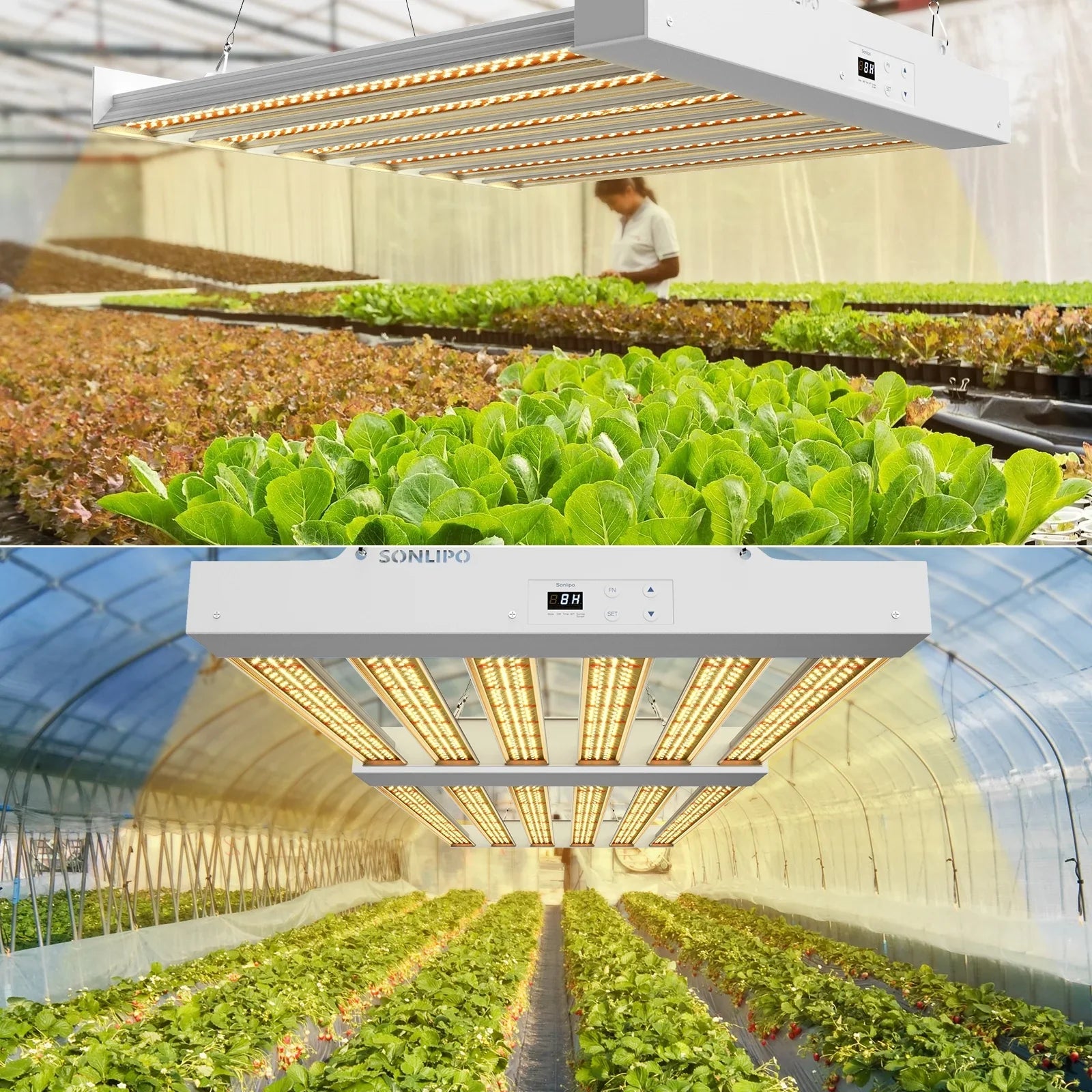 Grow Light 200W with Full Spectrum Veg & Bloom Dimmer Timer - 3x3ft Coverage Sunlike Grow Lamps for Indoor Plants - Seeding, Flowering, and Plant Growth  Plant Light Fixture