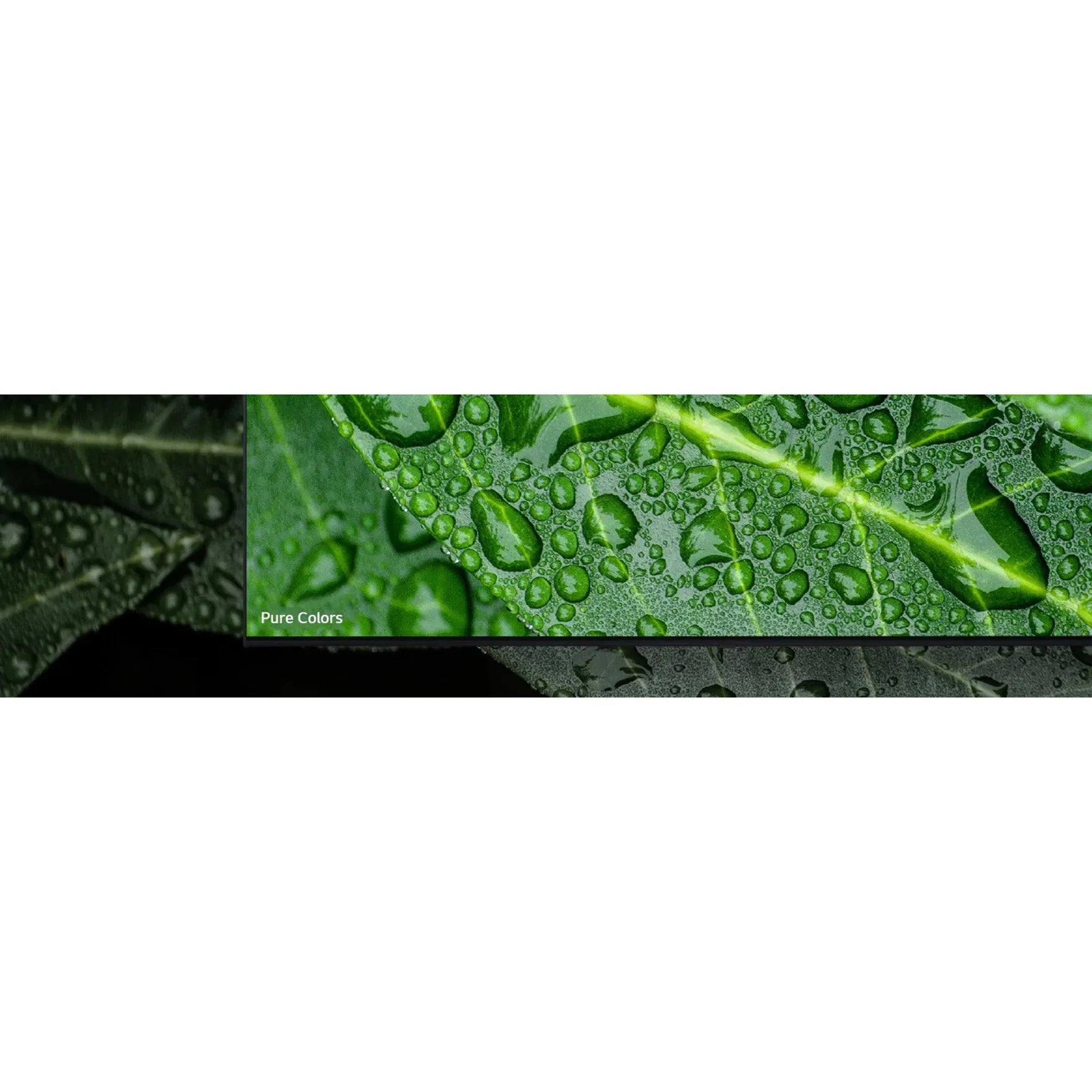 50UR577H9UA - 50" Diagonal Class  Series -backlit   - hotel / hospitality - Pro:Centric with Integrated Pro:Idiom - Smart  - webOS - 4K  (2160p) 3840 x 2160 -  - Nano Cell Display, Edge