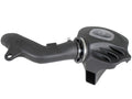 Momentum Cold Air Intake System w/ Pro   Filter