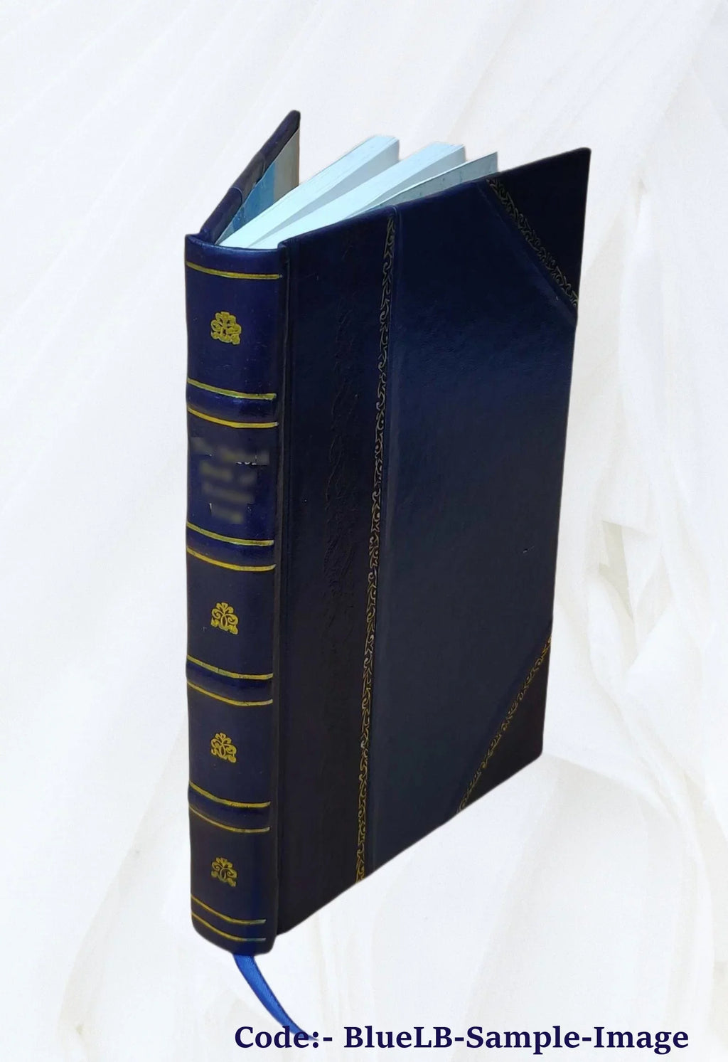 Introduction to sociology / by Arthur Fairbanks. 1901 [Leather Bound]