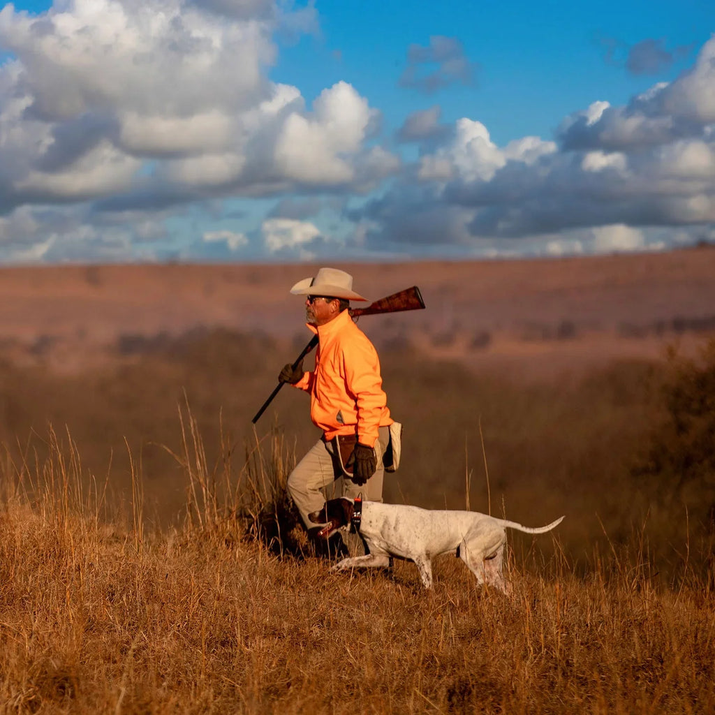 Garmin Alpha 300i (Garmin Alpha  15X Dog Collar Bundle) Dog Tracker Handheld Featuring inReach  Messaging