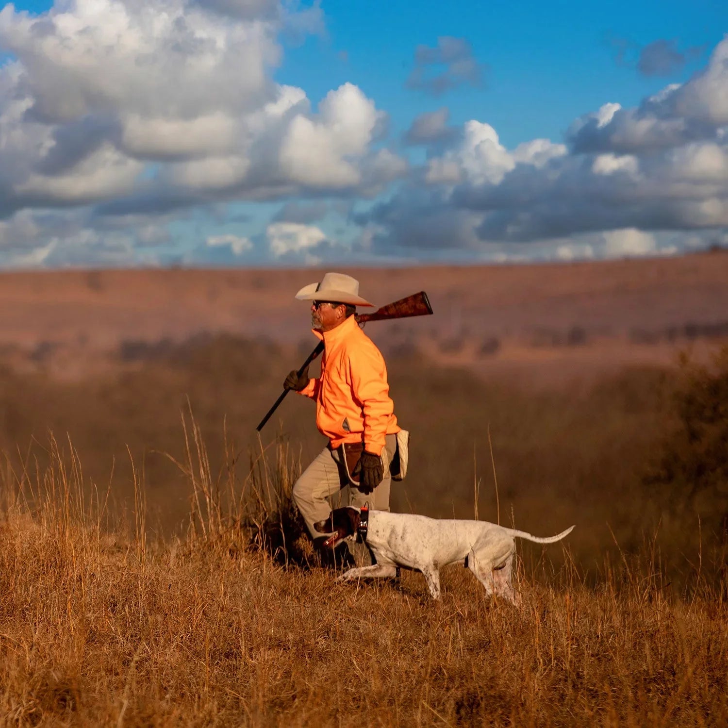 Garmin Alpha 300i (Garmin Alpha  15X Dog Collar Bundle) Dog Tracker Handheld Featuring inReach  Messaging