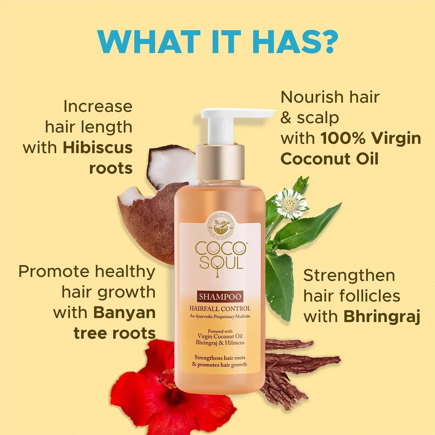 Coco Soul Hair Fall Control Shampoo with Ayurvedic Medicine | 100% Cold Pressed Virgin Coconut Oil | Bhringraj & Hibiscus | Sulphate & Paraben Free | From the