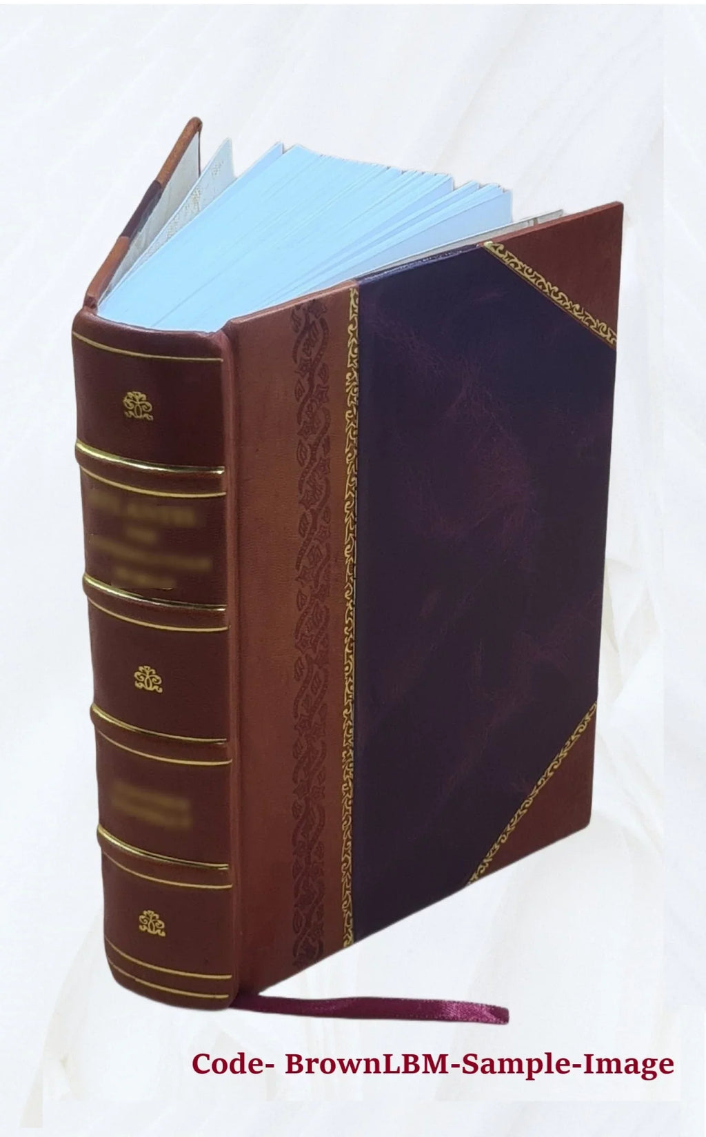 On the interpretation of statutes / by the late Sir Peter Benson Maxwell 1920 [Leather Bound]