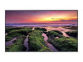 Samsung 75"   Commercial Display
