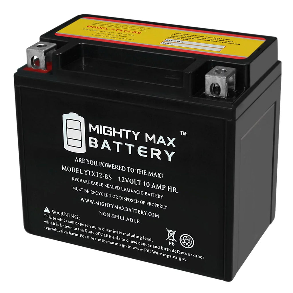 '- 12V 10Ah Replacement Battery for Protek -