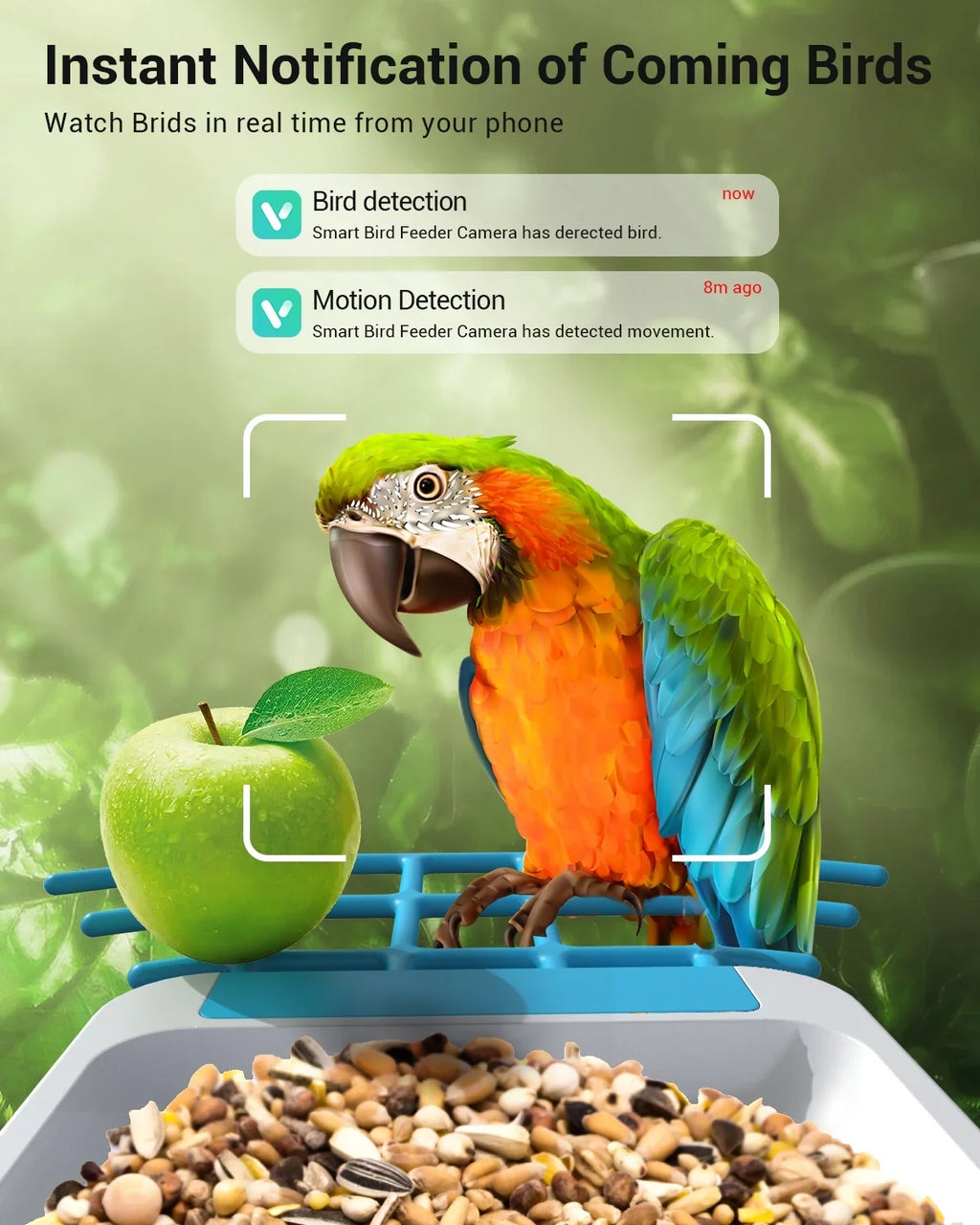 Smart Bird Feeder with Camera, Bird Feeder House with 1080P Battery Security Camera Solar Powered Auto Capture Bird Videos Wireless Outdoor