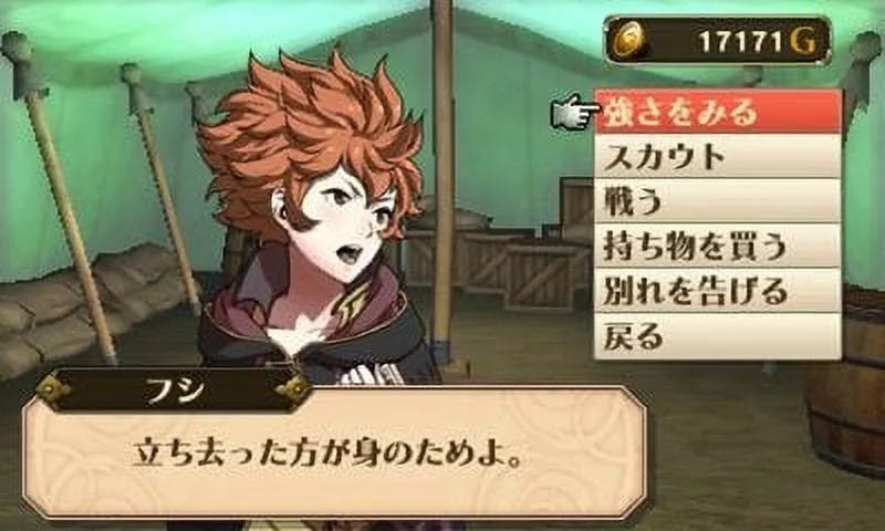 Fire Emblem Awakening Nintendo Nintendo 3DS 045496742355