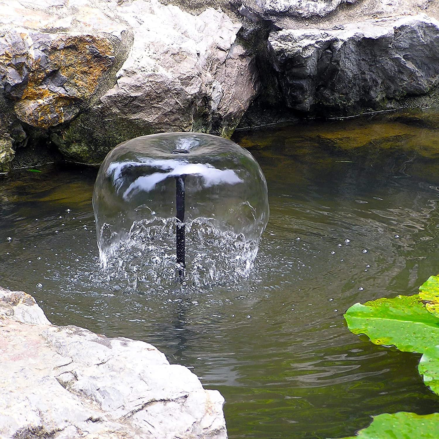 25W Solar Water Pump :  Dry-Run Protection Water Pump 370GpH with 18V 25W Solar Panel for Fountain, Fish Pond, and Aquarium (No Backup Battery)