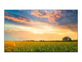 50UR577H9UA - 50" Diagonal Class  Series -backlit   - hotel / hospitality - Pro:Centric with Integrated Pro:Idiom - Smart  - webOS - 4K  (2160p) 3840 x 2160 -  - Nano Cell Display, Edge
