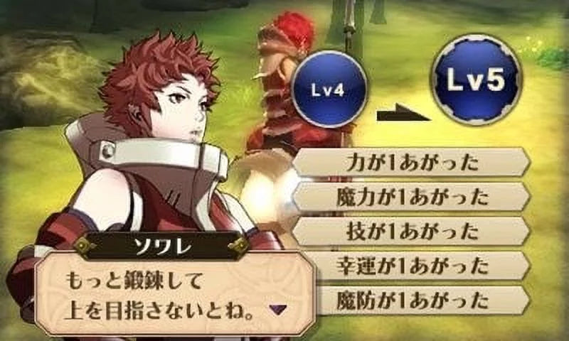 Fire Emblem Awakening Nintendo Nintendo 3DS 045496742355