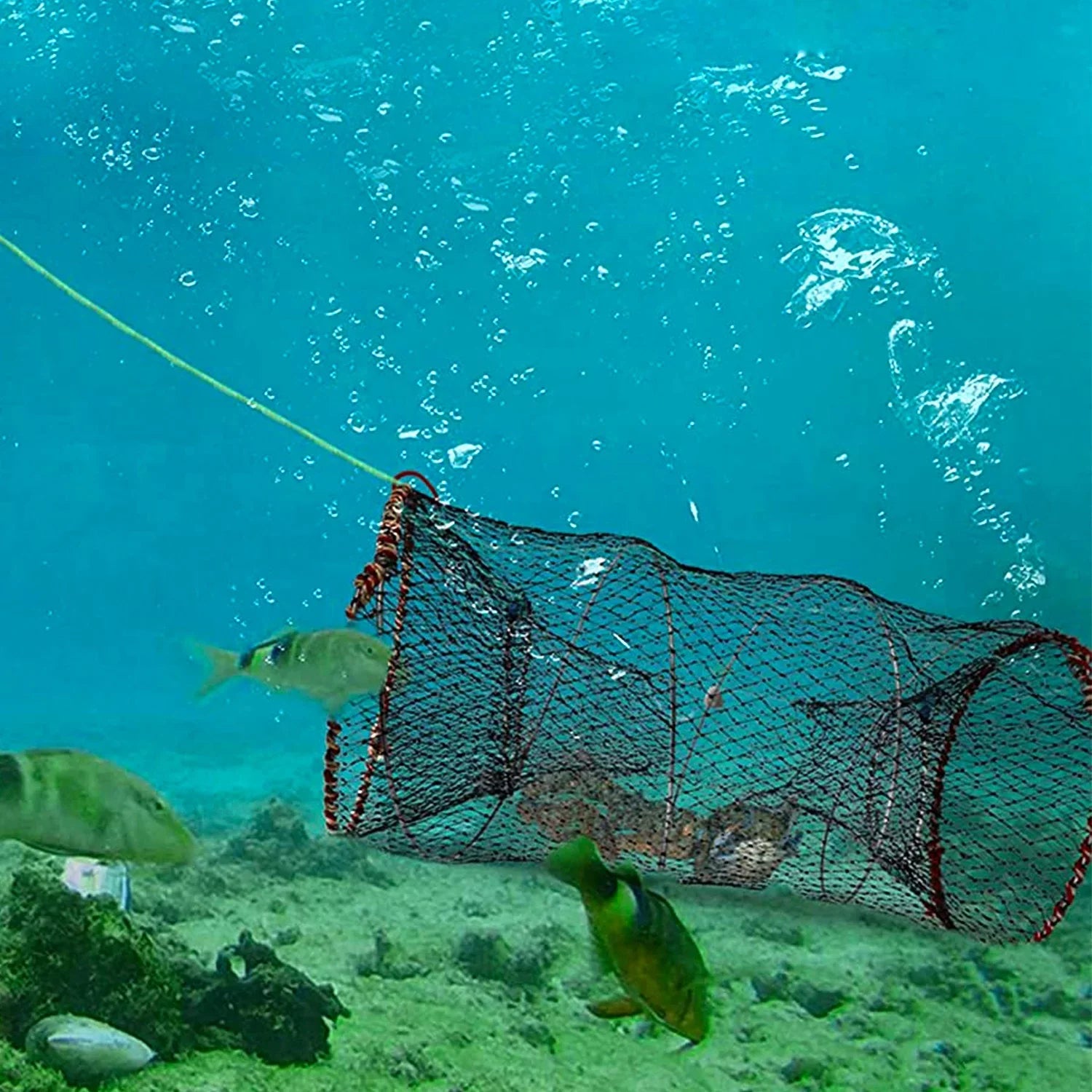 iMounTEK Crab Trap Net Bait Fishing Pot Cage for Shrimp Prawn Crayfish Lobster, 2 Packs, 22x11.8x11.8in