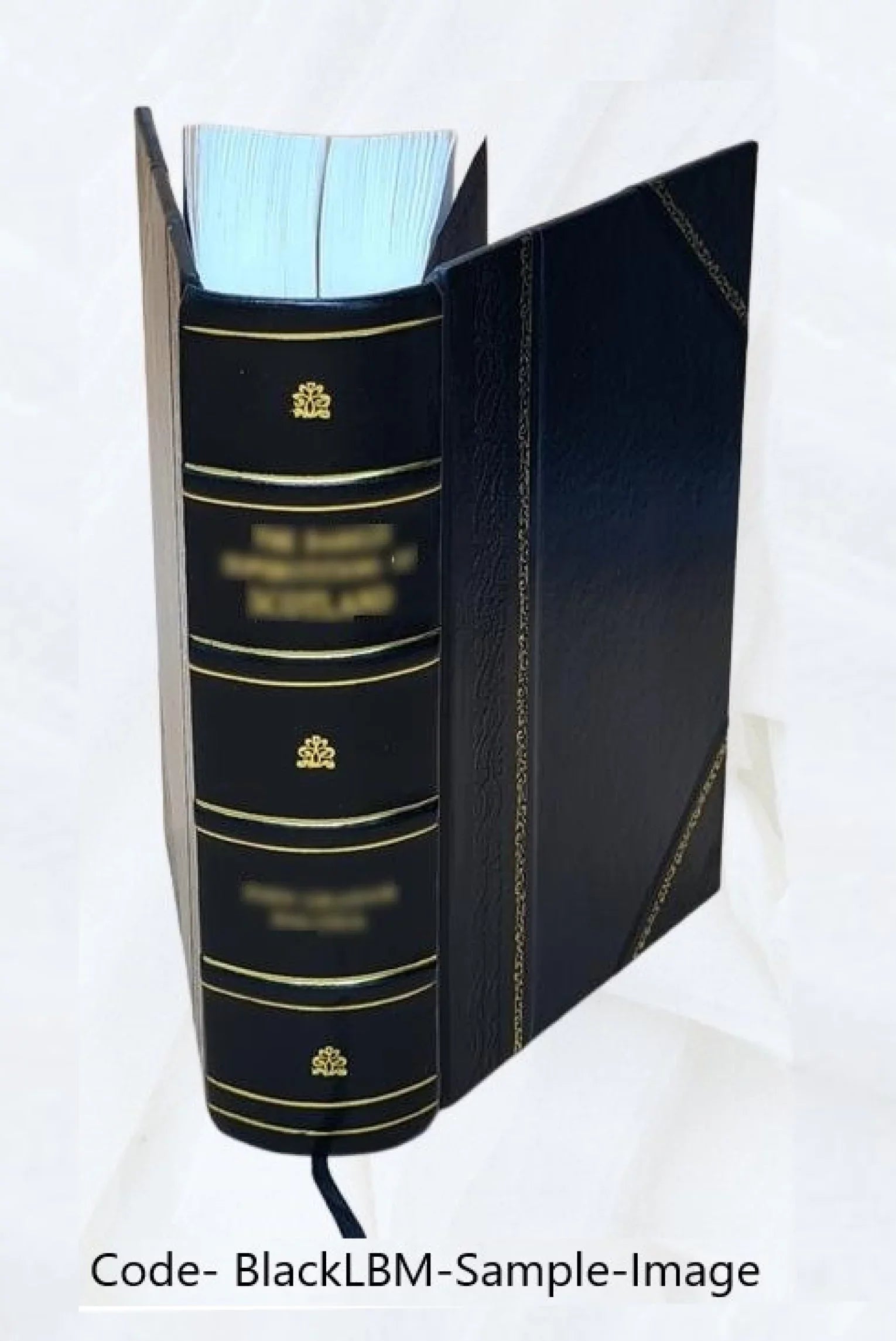 Histoire du peuple de Genève : depuis la Réforme jusqu'à l'escalade 1976 [Leather Bound]