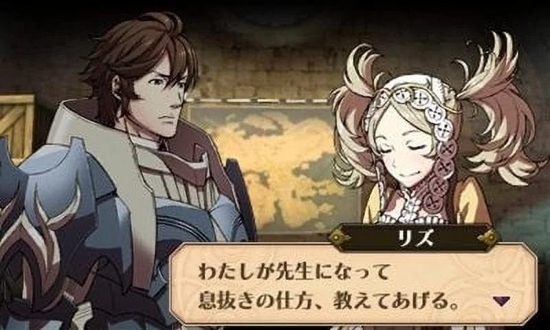 Fire Emblem Awakening Nintendo Nintendo 3DS 045496742355