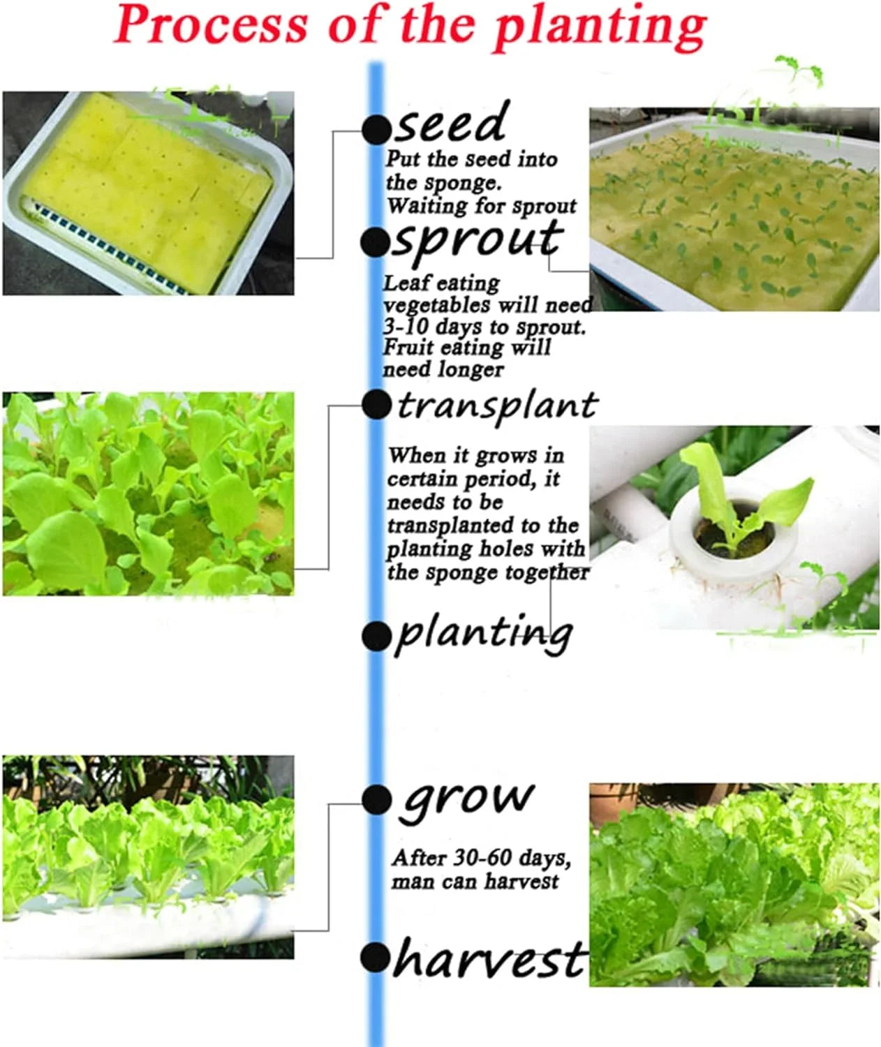 Hydroponic Pipeline Vegetable Grow Machine Plant Growing System 54 Sites