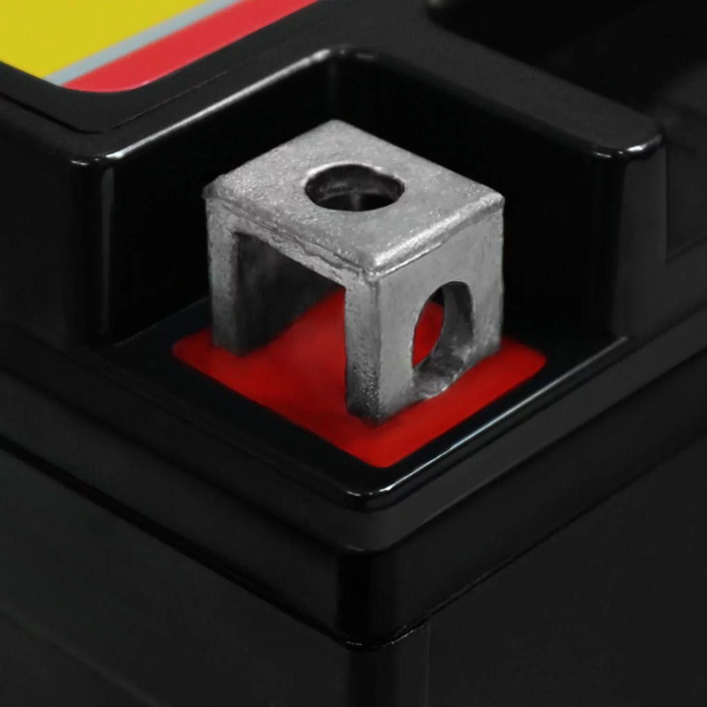 '- 12V 10Ah Replacement Battery for Protek -